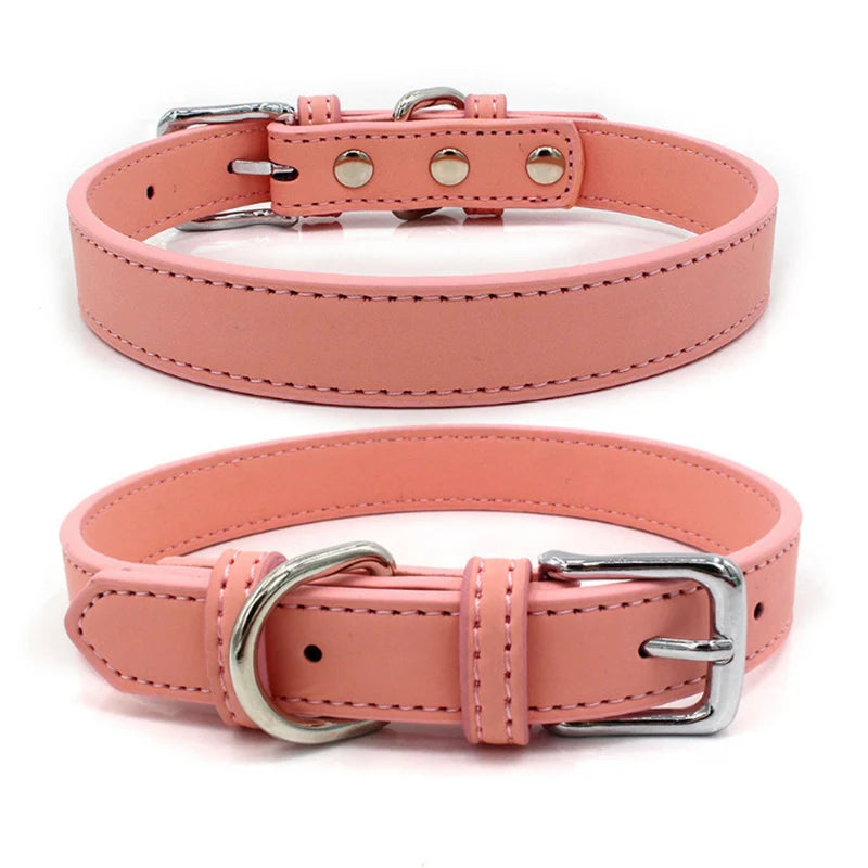 Collier chien cuir - Couleur sublime