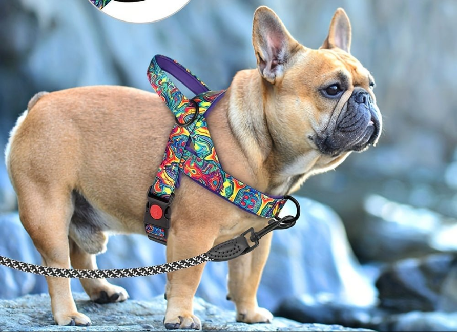 Harnais chien anti traction- Escape-Proof