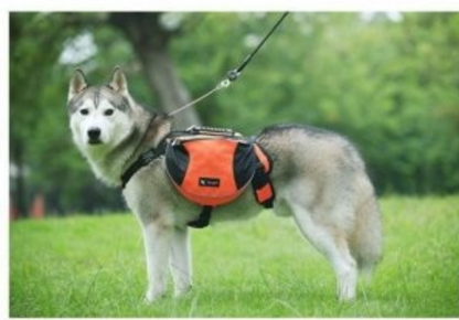 Harnais pour chien - Sac bandes réfléchissantes