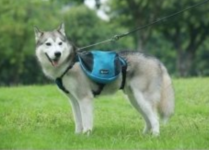 Harnais pour chien - Sac bandes réfléchissantes