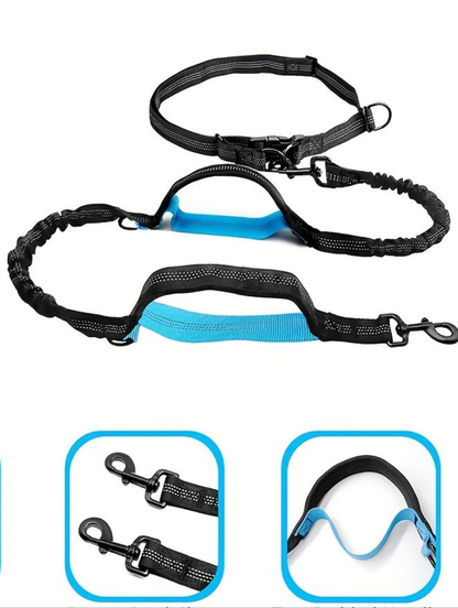 Double Laisse pour chien- Laisses mains libres pour chiens