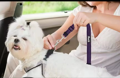 Laisse pour chien- Duo auto Pratico