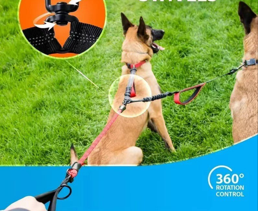 Laisse pour chien- Double rallonge anti-choc