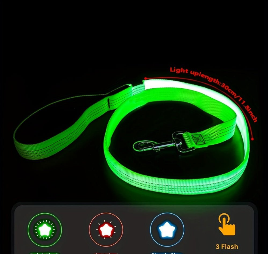 Laisse pour chien Glow Visible