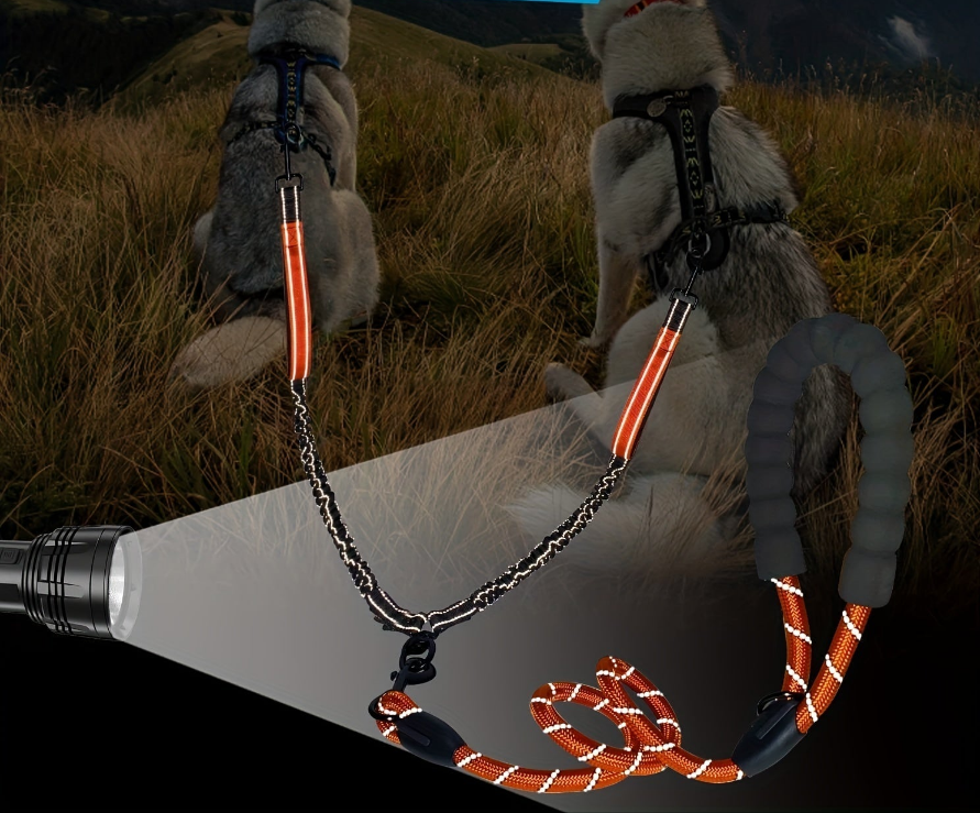 Laisse pour chien- Laisse Double + Poop Bag