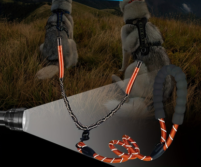 Laisse pour chien- Laisse Double + Poop Bag
