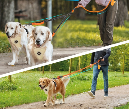 Laisse pour chien- Laisse Double + Poop Bag