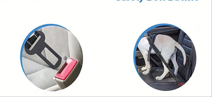 Laisse de chien- Bungee anti traction