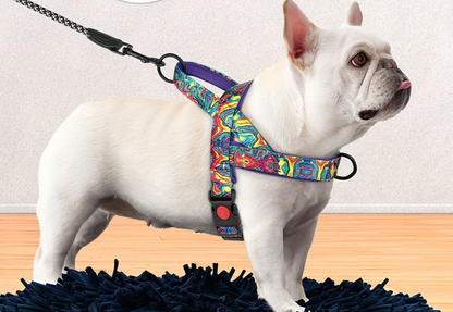 Harnais chien anti traction- Escape-Proof