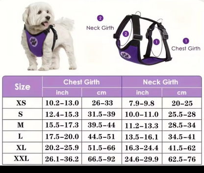 Laisse pour chien- Duo auto Pratico