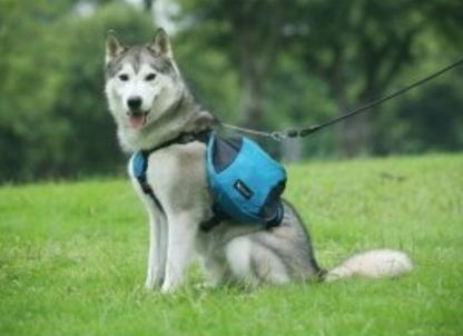 Harnais pour chien - Sac bandes réfléchissantes