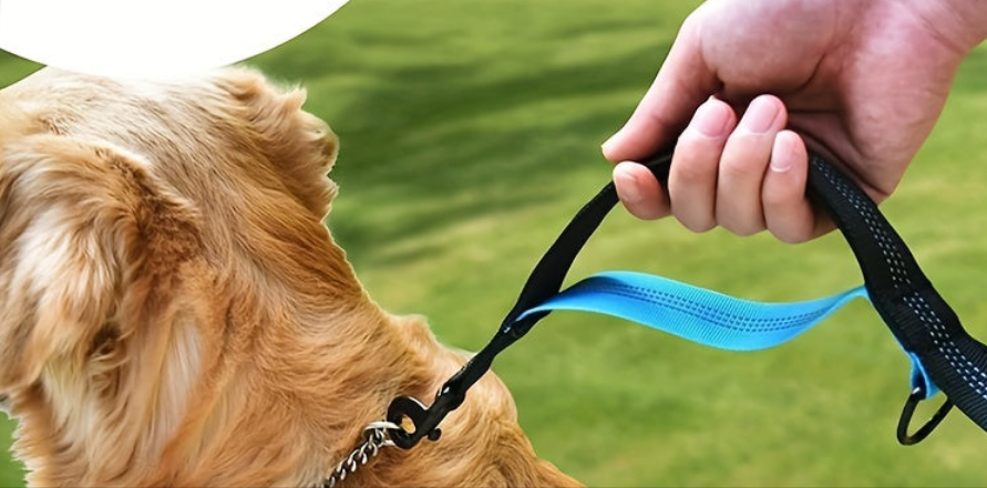 Double Laisse pour chien- Laisses mains libres pour chiens