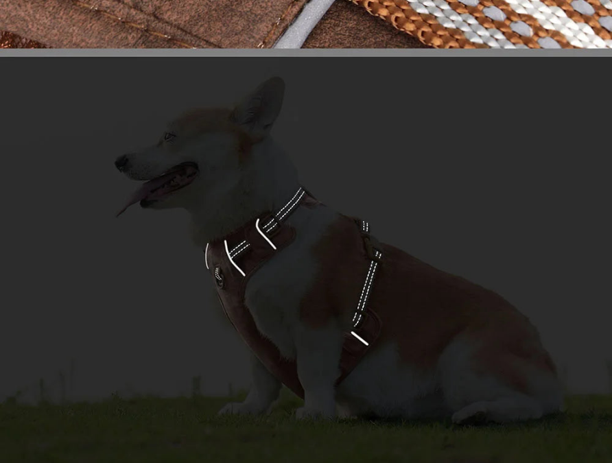 Harnais chien-Waterproof PU