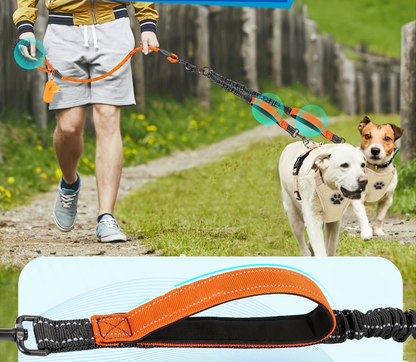 Laisse pour chien- Laisse Double + Poop Bag