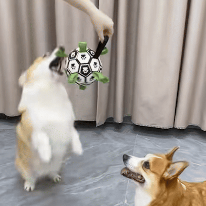 La Balle pour chien- Football Dreamer
