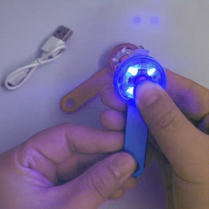 collier lumineux pour chien-Lumi-attache