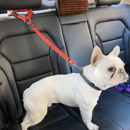 Laisse chien- Ceinture auto-pratico