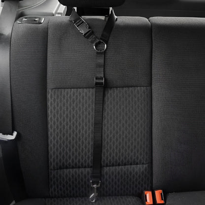 Laisse chien- Ceinture auto-pratico