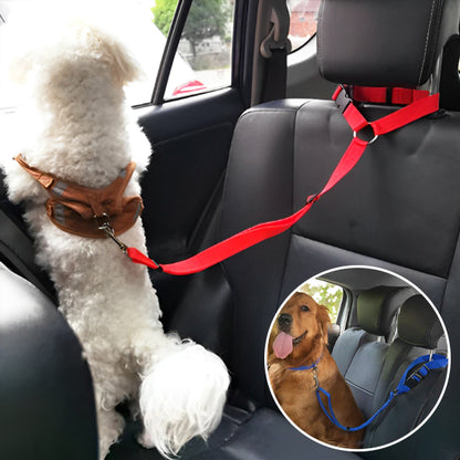 Laisse chien- Ceinture auto-pratico