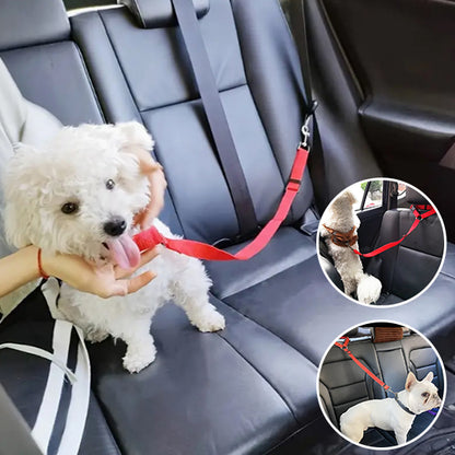 Laisse chien- Ceinture auto-pratico