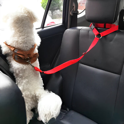 Laisse chien- Ceinture auto-pratico