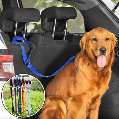 Laisse chien- Ceinture auto-pratico