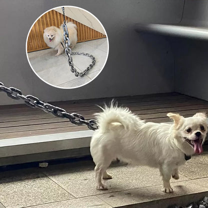 Laisse pour chien-chaine jumbo