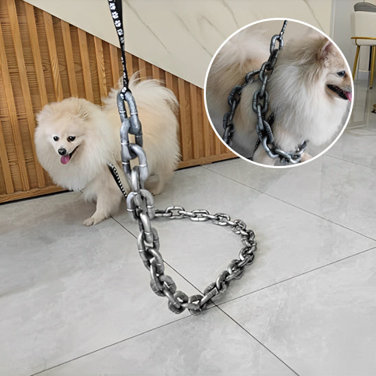Laisse pour chien-decorative