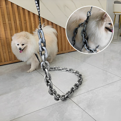Laisse pour chien-decorative