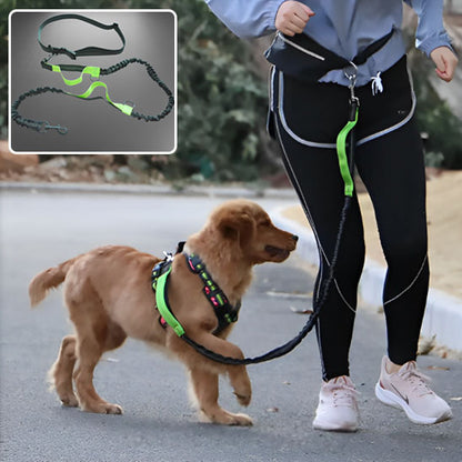 Laisse pour chien-Mains libres