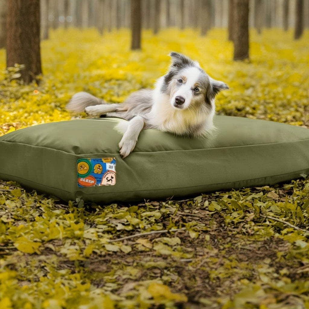 Lit pour chien | Indestructible SYTOPIA 1