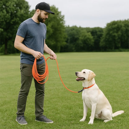 Longe pour chien | DogWalk 1