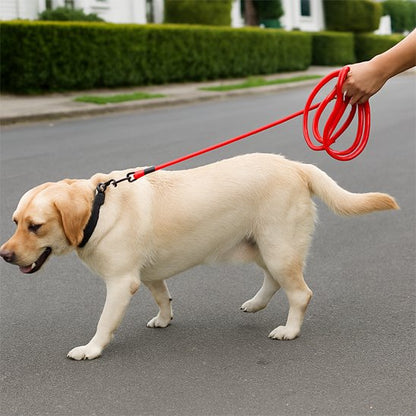 Longe pour chien | DogWalk 3