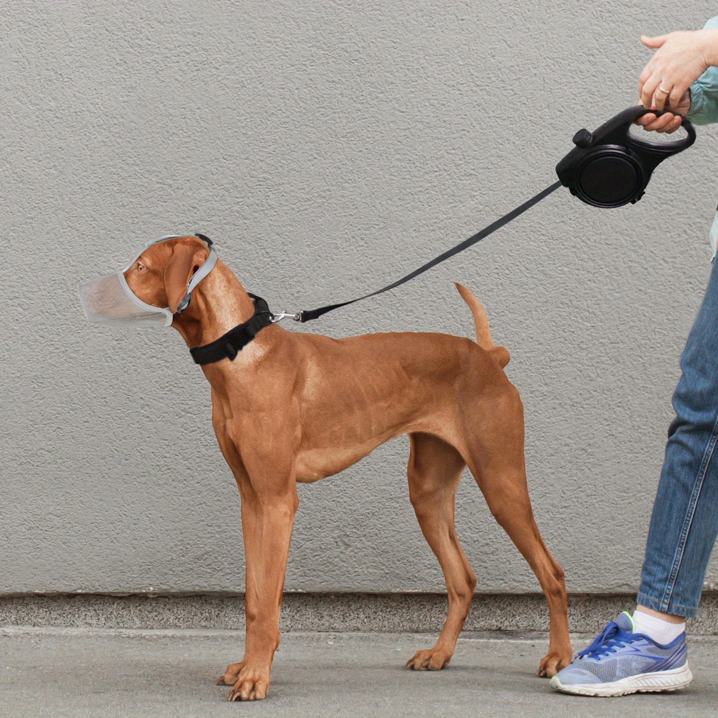 Muselière chien- Universal Fit Dog Muzzle 1
