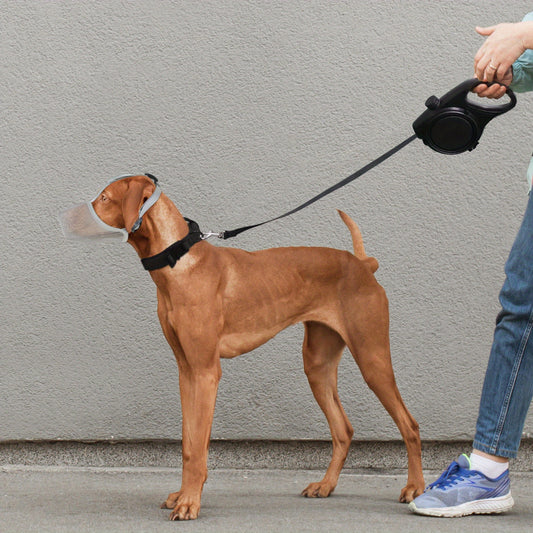 Muselière chien- Universal Fit Dog Muzzle 1