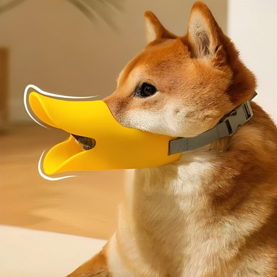 Muselière chien | Canard Silicone 5