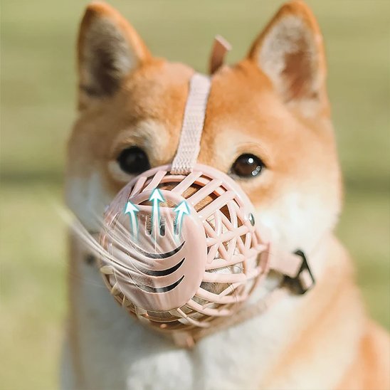 Muselière pour chien | ErgoShiba 2