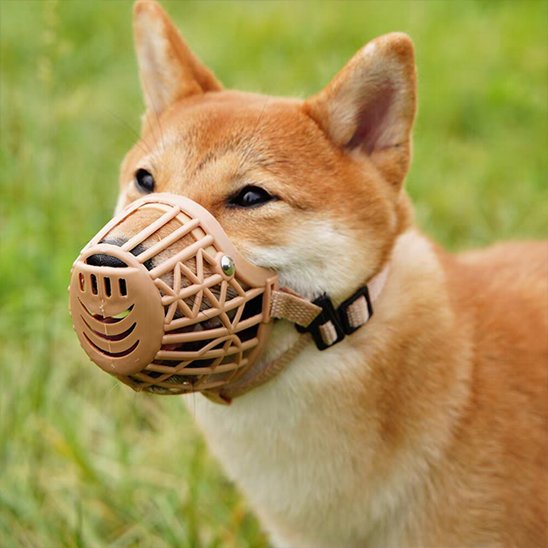 Muselière pour chien | ErgoShiba 4