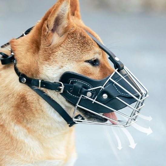 Muselière pour chien  respirante