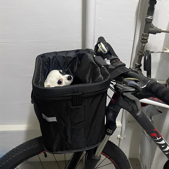 Panier chien velo- Amovible et pliable