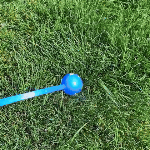 Lanceur de Balle pour chien- Perche flexible