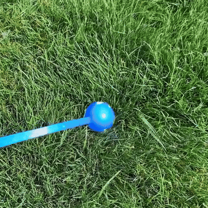 Lanceur de Balle pour chien- Perche flexible