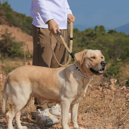Laisse pour chien- Tactique mousqueton