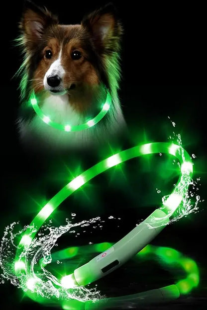 Chien collier lumineux | LED Rechargeable 360°