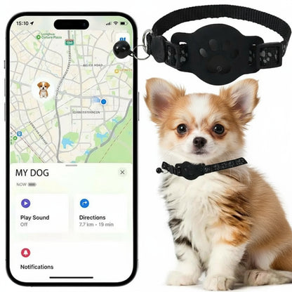 Collier GPS pour chien | PetTracker