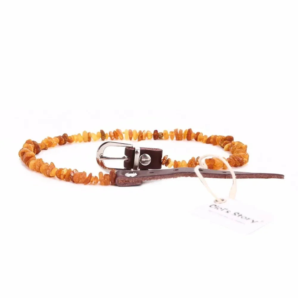 Collier anti puce chien | Ambre Naturel