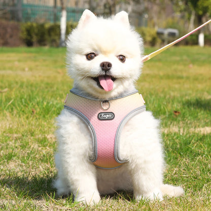 Harnais chien- Supet