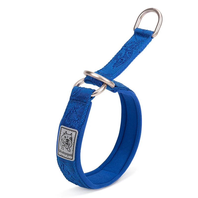 Collier de dressage pour chien- TRUELOVE P-chain