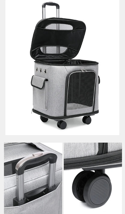 Caisse de transport chien- Suitcase Portable Travel