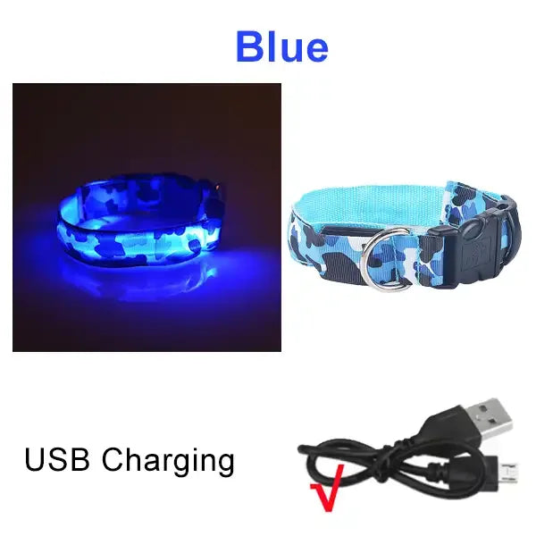 Collier chien lumineux-Camouflage LED